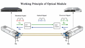 Working Principle of Optical Module